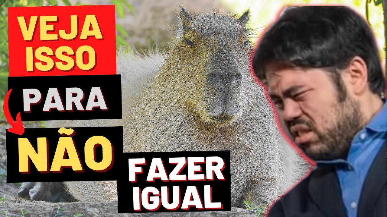 3 SEGREDOS SOBRE O LICHESS  CAPIVARA DO XADREZ ♟️🔐🏆 