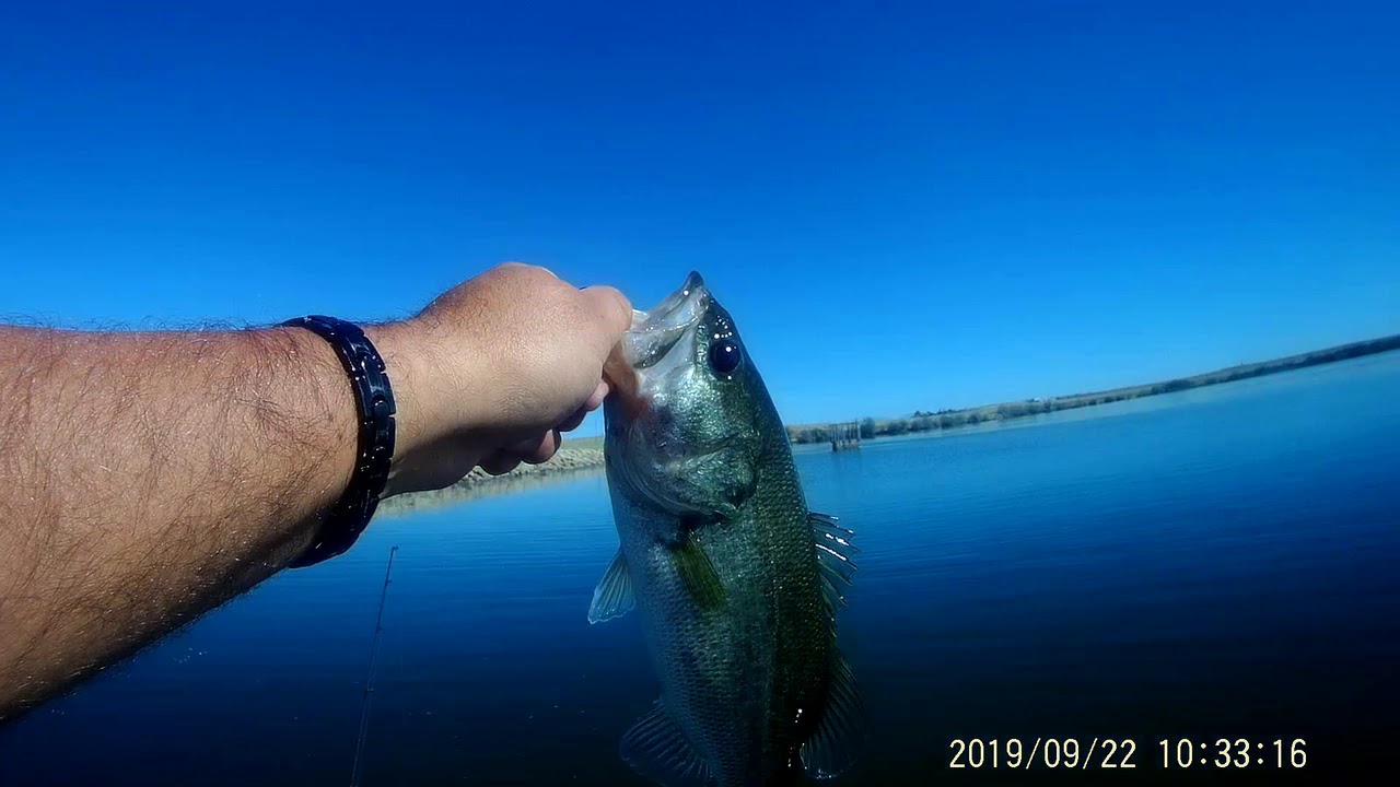 Mighty Turtle Ep. 4Fishing Lake YouTube