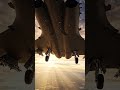 This Silent Giant Rules the Sky… But No One Notices 😱