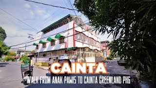 StreetView with TADE: Walk from Anak Pawis to Cainta Greenland Phase 6 in Cainta, Rizal