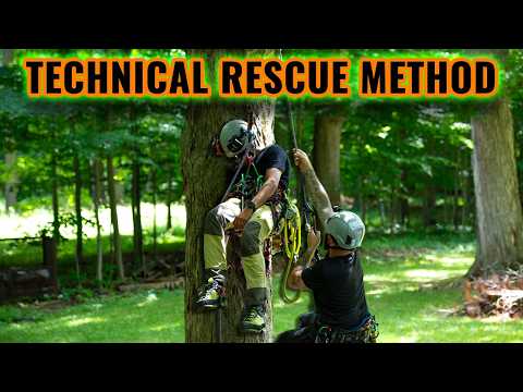 Tree Climbing Tips: Advanced Aerial Rescue Technique