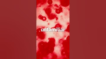 🧠 How do we actually see what’s happening inside the brain?