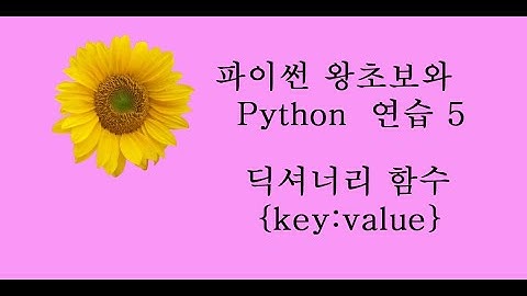 파이썬 왕초보5_딕셔너리함수,get