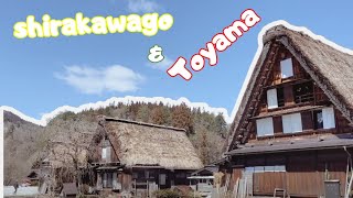 A trip to Toyama and Shirakawago(Kurobe Gorge, Black Ramen) | Japan Vlog