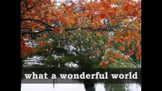 WHAT A WONDERFUL WORLD - Louis Armstrong (Lyrics)