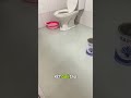 ✅️SƠN HIỆU ỨNG CHO NỀN WC