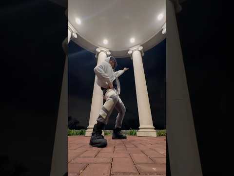 Stray Kids Do It DANCE StrayKids DoIt DANCE