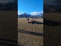 #vallethenics⚡#calistenia#streetworkout#discipline#workout
