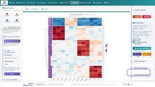 Information Clustering Heatmap · Annotations | DataViz Pro Tutorial Guide