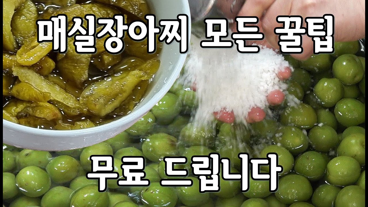 매실장아찌담그는법 모든 노하우가 들어 있는 영상입니다 토종찬맛집 한식조리사님  자세한 설명으로 초보자도 따라 할 수 있어요 도전하세요