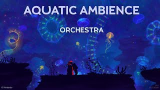 Download lagu Aquatic Ambience (Orchestral Cover) | Donkey Kong Country