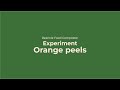 Reencle Food Composter_Experiment(Orange peels)
