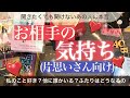 お相手の気持ち(片思いさん向け)💖あなたが聞きたいこと聞き辛いこと😌ツッコミ多めに聞いてきました!【タロット占い 恋愛】