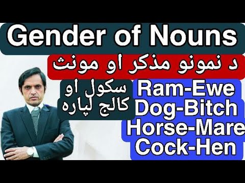 Gender Of Nouns Gender Of Nouns In Pashto Grammar With Ihsan Faiz Qurashi Grammar In Pashto