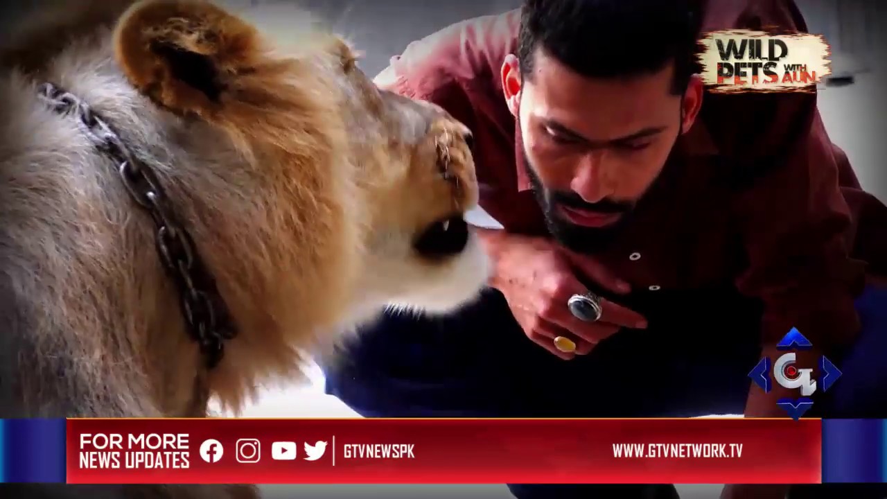 pakistan cricket score Watch this Special Promo of