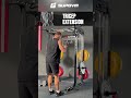 Home gym equipment  bicep curl workout routine