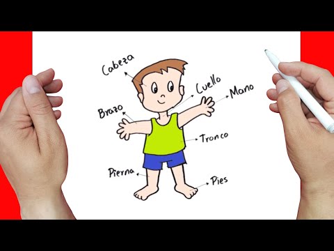 How to draw easily THE PARTS OF THE HUMAN BODY step by step