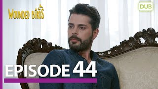 Wounded Birds Episode 44 - Urdu Dubbed | Turkish Drama