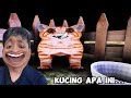 JANGAN BERI MAKAN KUCING INI DIMALAM HARI - Feed Your Cat
