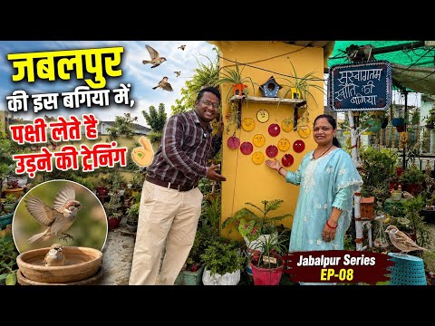 मेरी बगिया में पक्षी सीखते है उड़ना 🐦 🦅 Birds Paradise of Jabalpur EP-08