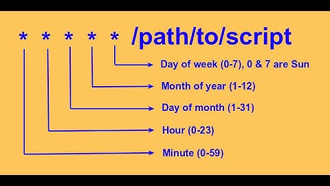 LQA01 - How to Remove files Older than 7 days Using Cron Job