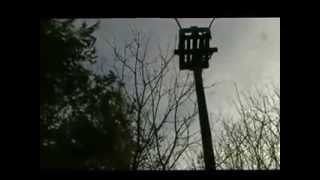 Hike in the Woods and a look at a Saw on a Budget