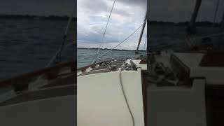 Norfolk gypsy Isabel