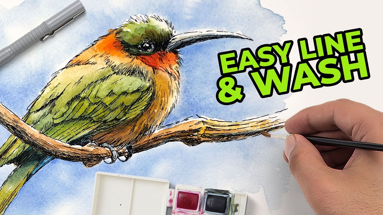 Easy Line and Wash Lesson for Beginners - Pen and Ink with Watercolor Bird  - YouTube