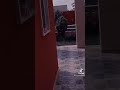 والله لركب بلكزز ودعس على 300