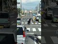 横断歩道で倒れた高齢者を助けるヒーロー!!