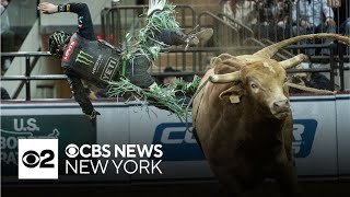 Professional Bull Riders return to Madison Square Garden