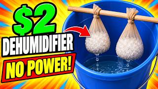 This DIY Dehumidifier Needs NO Tools or Electricity!