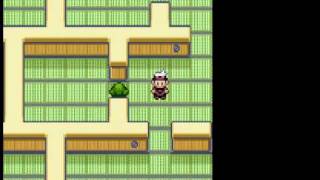 Pokémon Ruby Walkthrough Part 13 - Defeat May And Discover The Trick House !