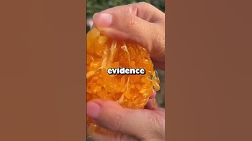 Veterans who called crisis lines, what happened?