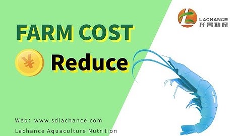 FARM COST improve shrimp farming production | reduce the cost of shrimp farming | shirmp price