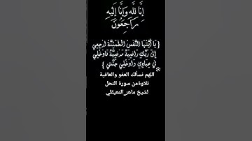 تلاوةمن سورة النحل لشيخ ماهر_المعيقلي #اللهم_نسألك_العفو_والعافية #ماهر_المعيقلي #اكسبلور #ترند #تيك