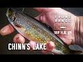 Fly fishing for brook trout four wheeling and camping  vlog 4