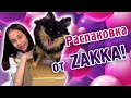 Обзор Распаковка от Zakka Я УЖЕ Готовлюсь к ШКОЛЕ ??