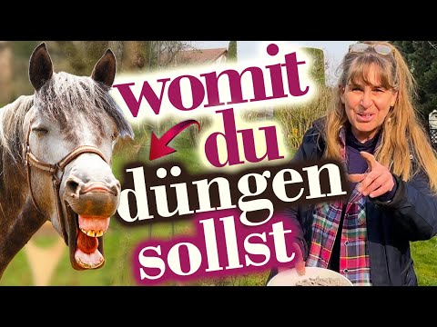 Video: Wie heißen die kleinen Rosen? Miniaturrosensorten: ein Überblick und Pflegemerkmale