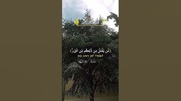 #قرآن #ارح سمعك وقلبك بتلاوة رائعة #ياسر_الدوسري #اكسبلور #viral #دويتو