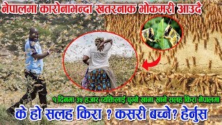               Salaha Kira In Nepal