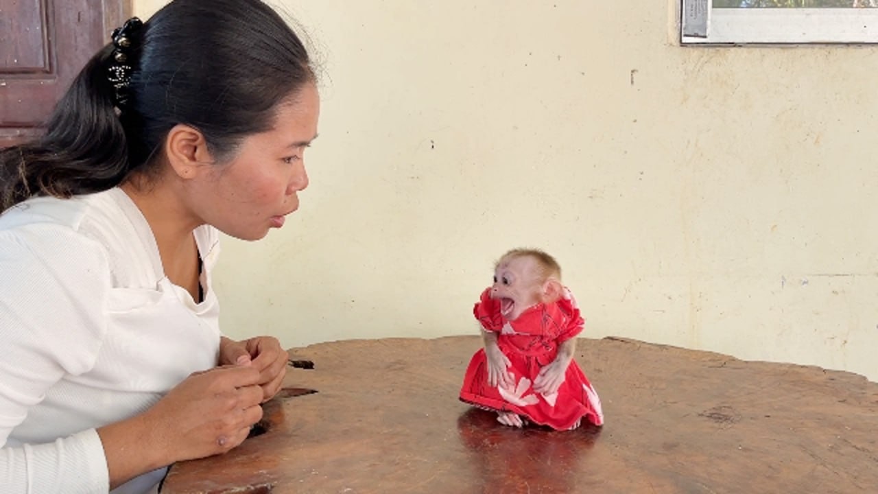 Tiniest Selena Scream loud Refuse To Sit When Mom Disciplinee Her