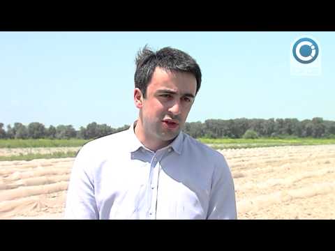 ლაგოდეხში სტიქიის შედეგად დაზარალებულ  17 ბენეფიციარს ზარალს აუნაზღაურებენ