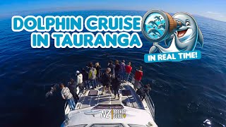 1-Hour Dolphin Extravaganza in Tauranga: Spotting Common Dolphins in Real Time by NZ Pocket Guide 104 views 2 months ago 1 hour, 10 minutes