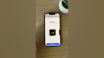 #17 How to Install Pixel Pet on Home Screen