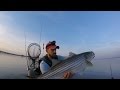 24 Hour Kayak Fishing Challenge May - 135 Inch Total - Stripers, Smallmouth Bass, Flounder & More!