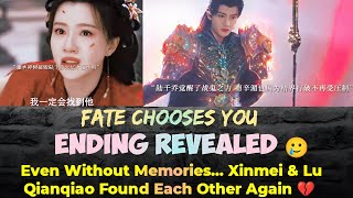 Ending Revealedfate Chooses You   Tearful  Ending Of Xinmei U0026 Lu Qianqiao  Engindo