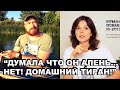 ОдОмашненный "Тиран" это тот , кого которого не получилось сделать послушным ОлЭнем?