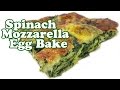 EGG BAKE RECIPE w/ SPINACH - Crustless Quiche Recipe - Eggs Breakfast Casserole Recipes -HomeyCircle