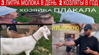 КОЗЫ НУБИЙСКАЯ ПОРОДА! 3 ЛИТРА МОЛОКА В ДЕНЬ, 2 КОЗЛЯТЫ В ГОД!! 15тыс за 2 КОЗЫ!!!